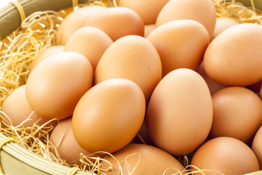 【熊本発】売り切れ続出！「生でおいしい卵」が 次々に産み出す「6次産業化」への未来像