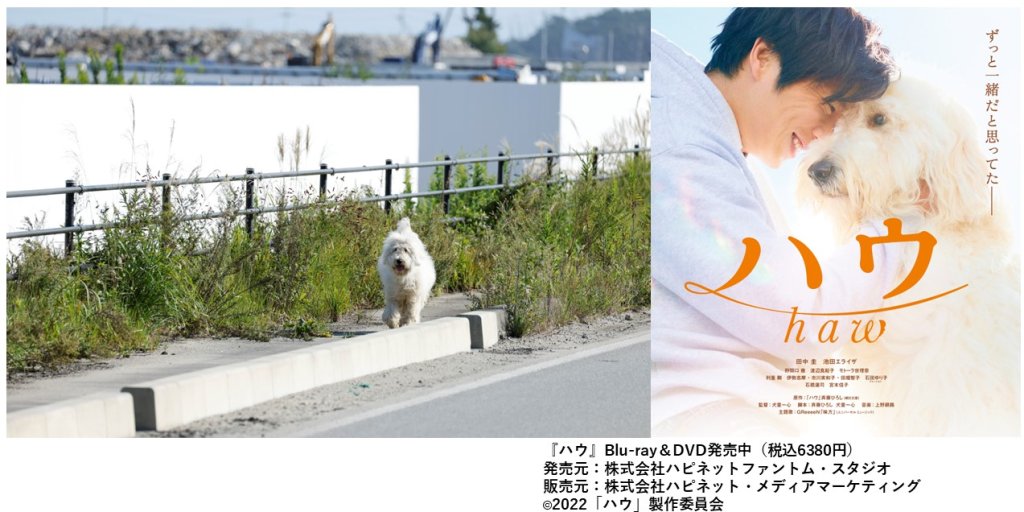 映画「ハウ」のワンシーン。飼い主に会おうと、青森から横浜に向かって福島県双葉町を進んでいく犬のハウ