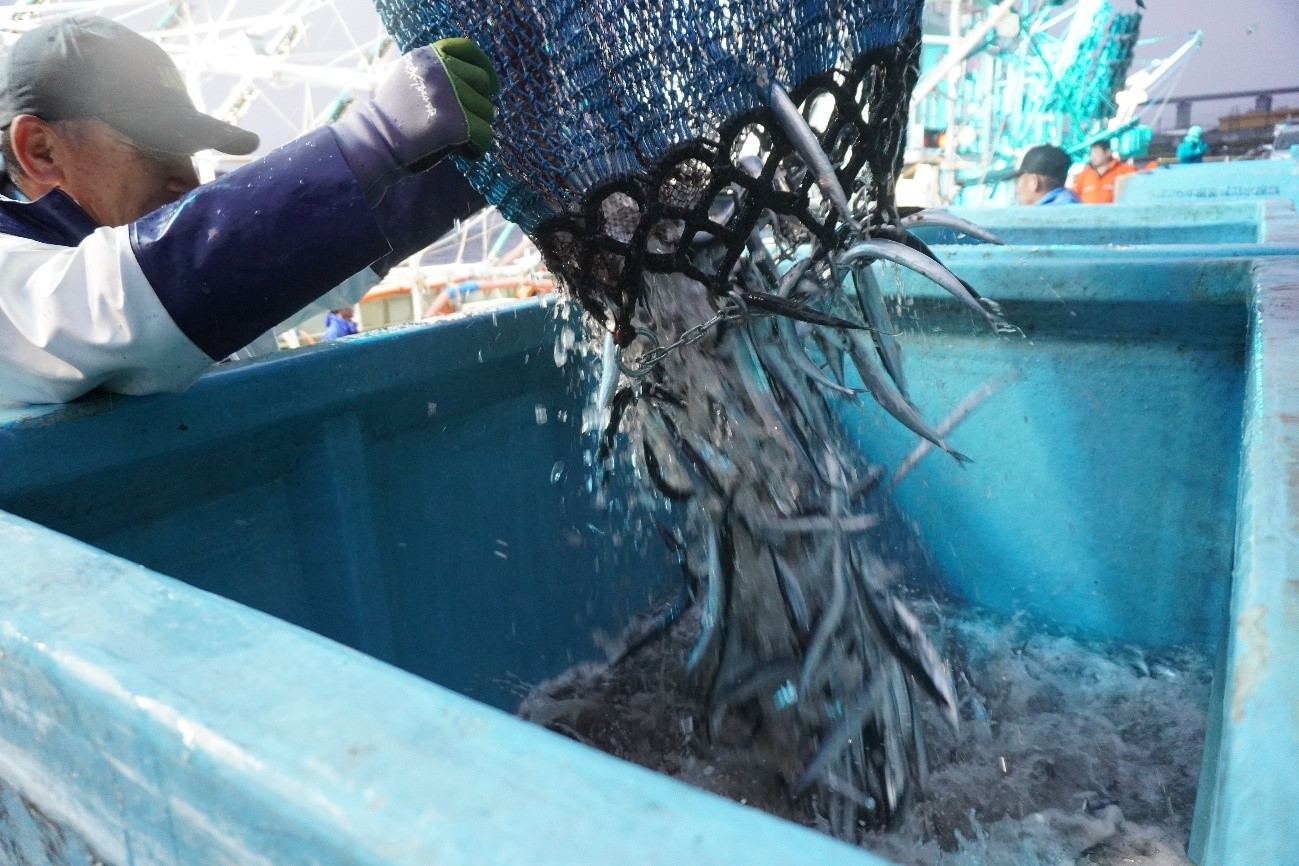 世界3大漁場！三陸の港、宮城・気仙沼が漁師たちを惹きつける理由(わけ