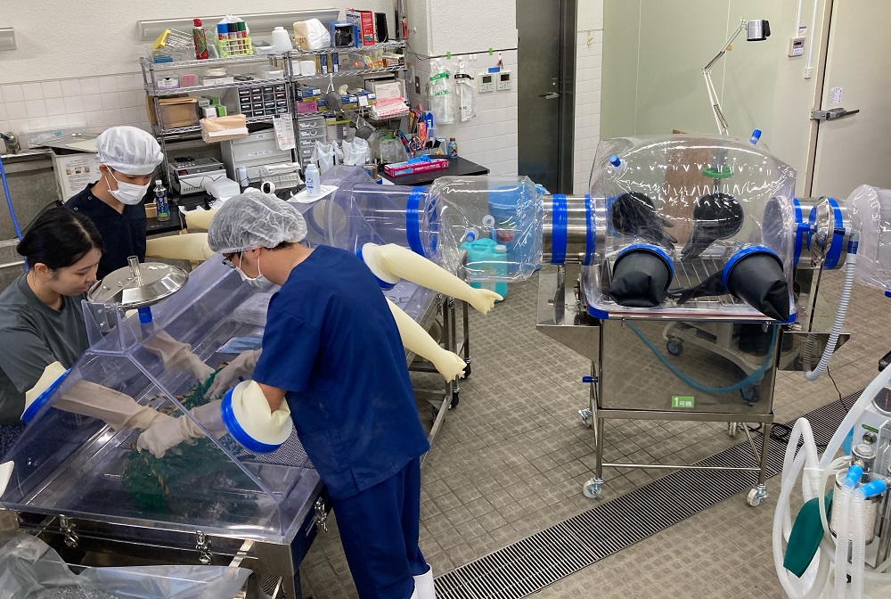創薬で進む水平分業化。開発製造を受託「CDMO」は一大産業となる可能性